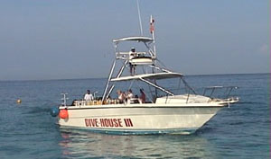 Dive House III